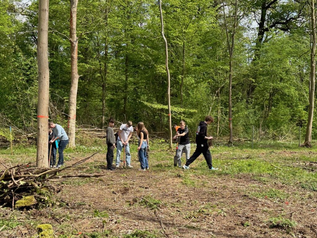 Bäume pflanzen im Auwald